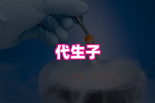 乐乐助孕网 3